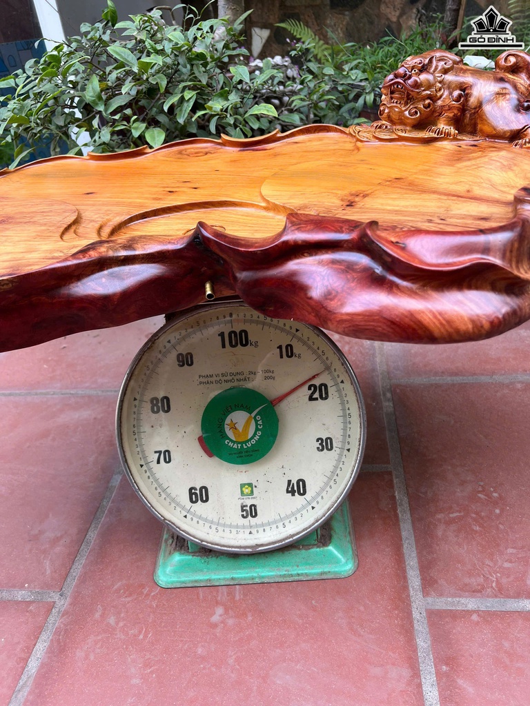 khay-tra-nghe-go-huong-rong-91-sau-46-day-8-cm-462823