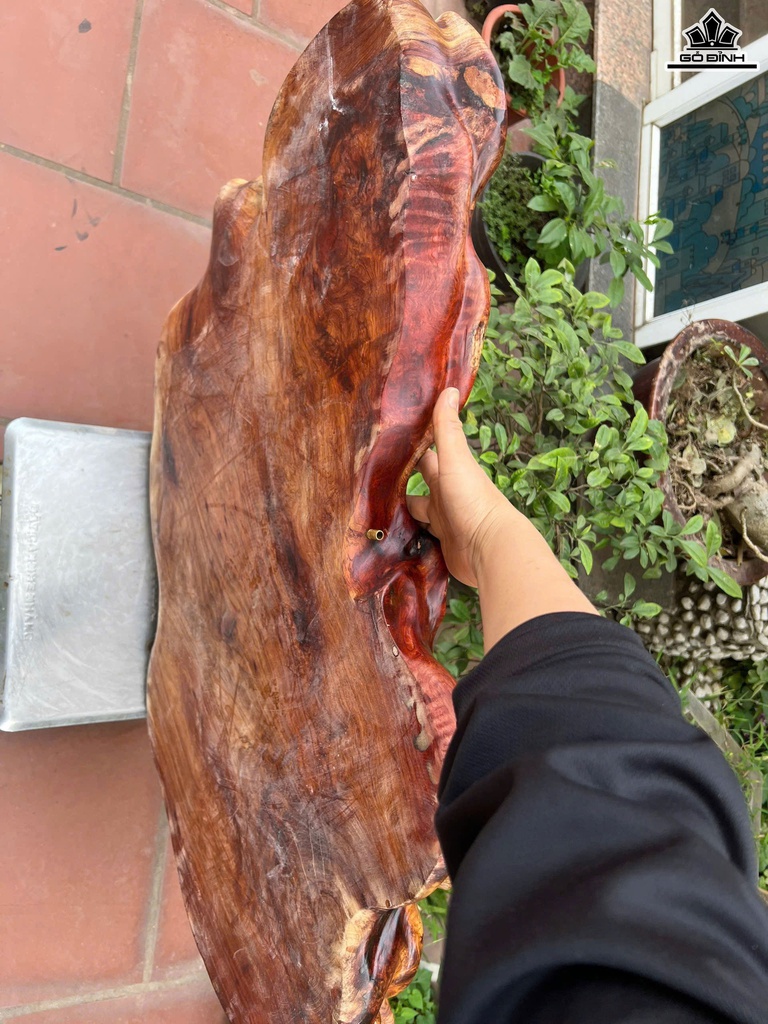 khay-tra-nghe-go-huong-rong-91-sau-46-day-8-cm-462825