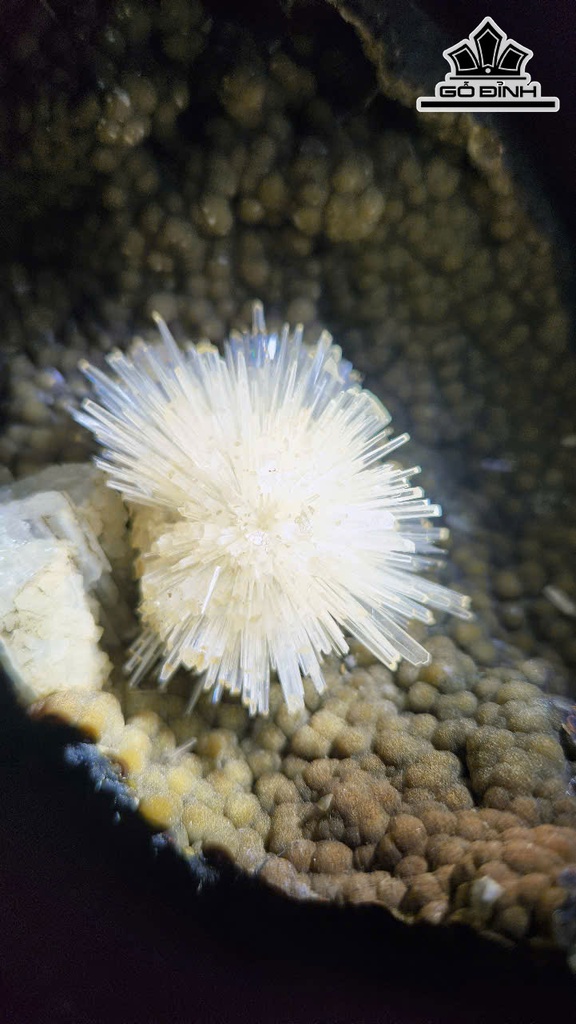 song-hy-2-bong-hoa-uu-dam-da-tram-tich-cao-ca-de-27-ngang-18-cm-nang-36kg-467271