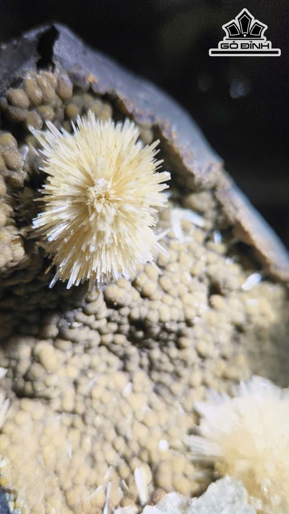 song-hy-2-bong-hoa-uu-dam-da-tram-tich-cao-ca-de-27-ngang-18-cm-nang-36kg-467272