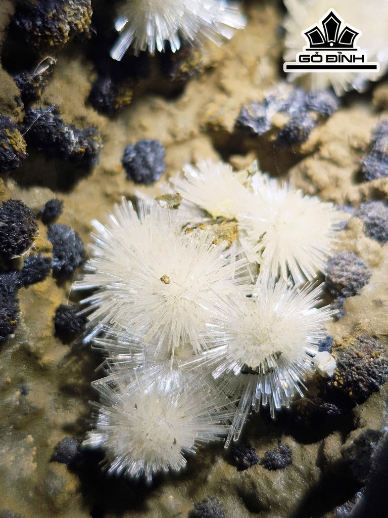 nhung-bong-hoa-uu-dam-da-tram-tich-cao-28-ngang-21-cm-nang-56kg-467297