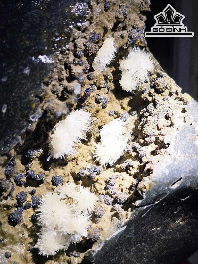 nhung-bong-hoa-uu-dam-da-tram-tich-cao-28-ngang-21-cm-nang-56kg-467299