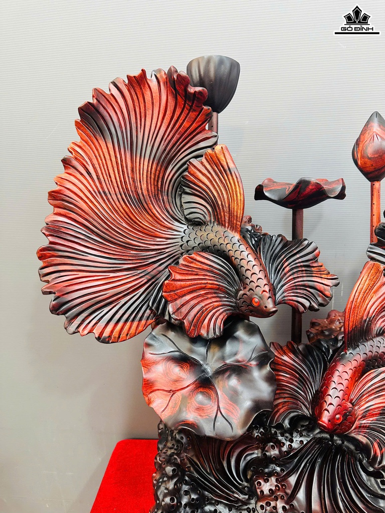 tuong-ca-xiem-doi-go-trac-cao-72-ngang-62-sau-30-cm-467677