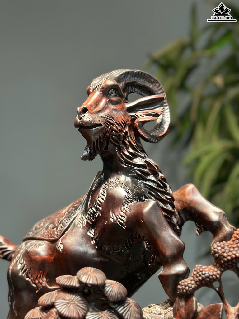 tuong-nhat-duong-tai-loc-go-trac-cao-40-ngang-32-sau-30-cm-468283