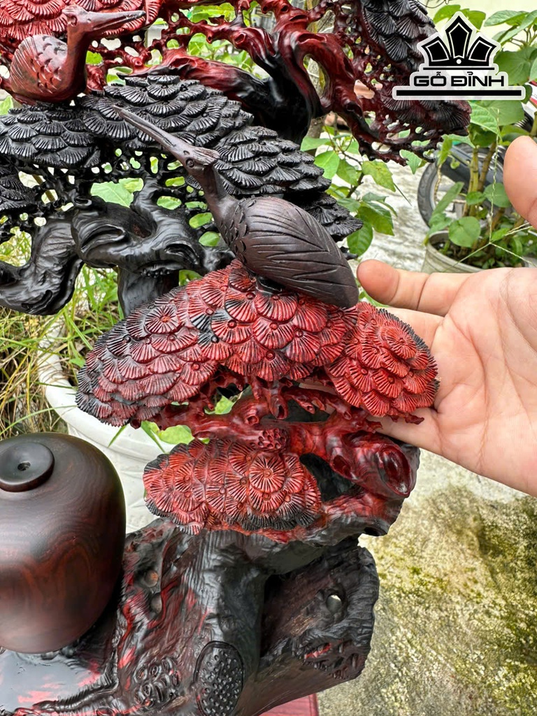 cay-tung-hac-go-trac-cao-ca-ky-59-ngang-36-sau-22-cm-468425