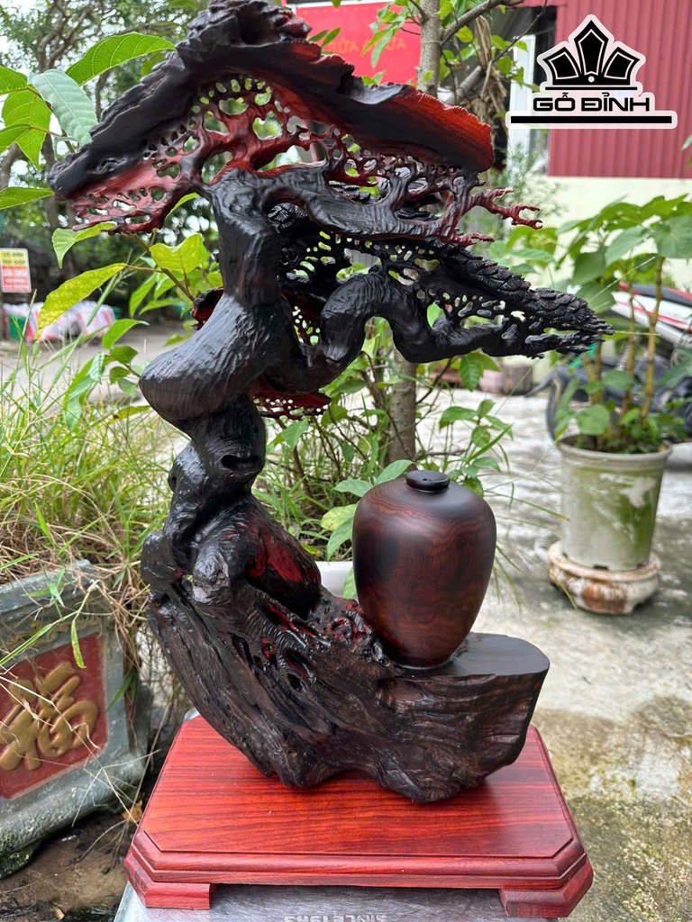 cay-tung-hac-go-trac-cao-ca-ky-59-ngang-36-sau-22-cm-468426