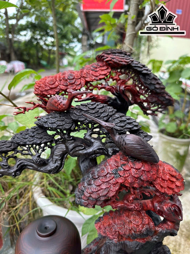 cay-tung-hac-go-trac-cao-ca-ky-59-ngang-36-sau-22-cm-468427