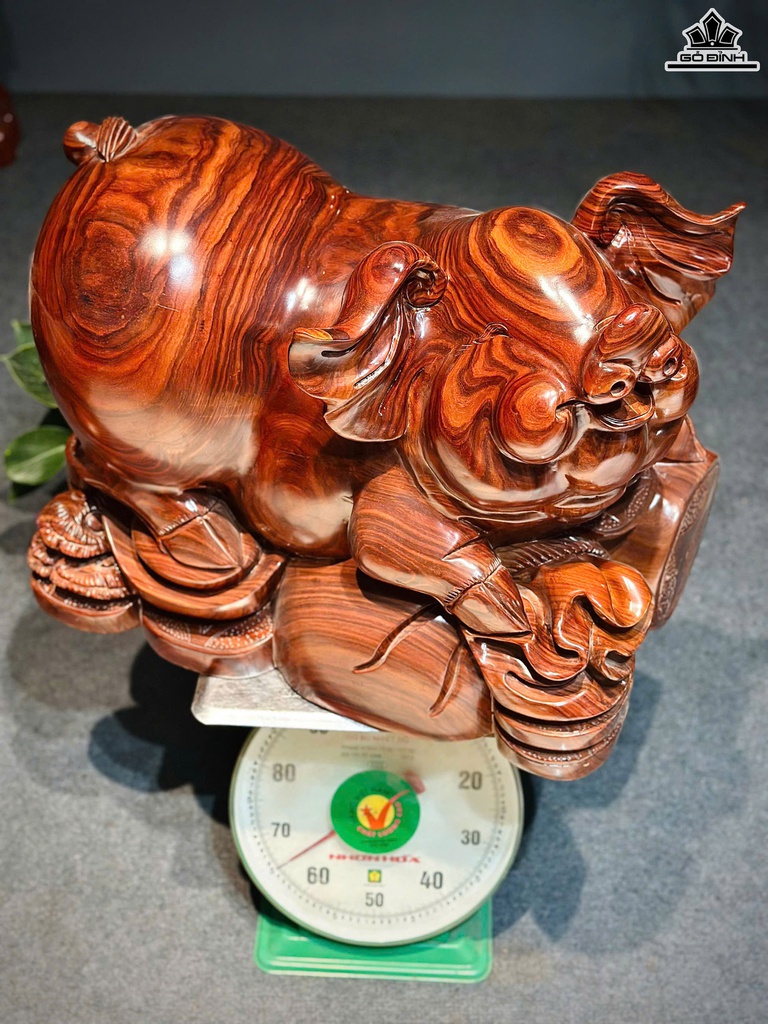 tuong-heo-go-cam-cao-43-ngang-58-sau-35-cm-468653