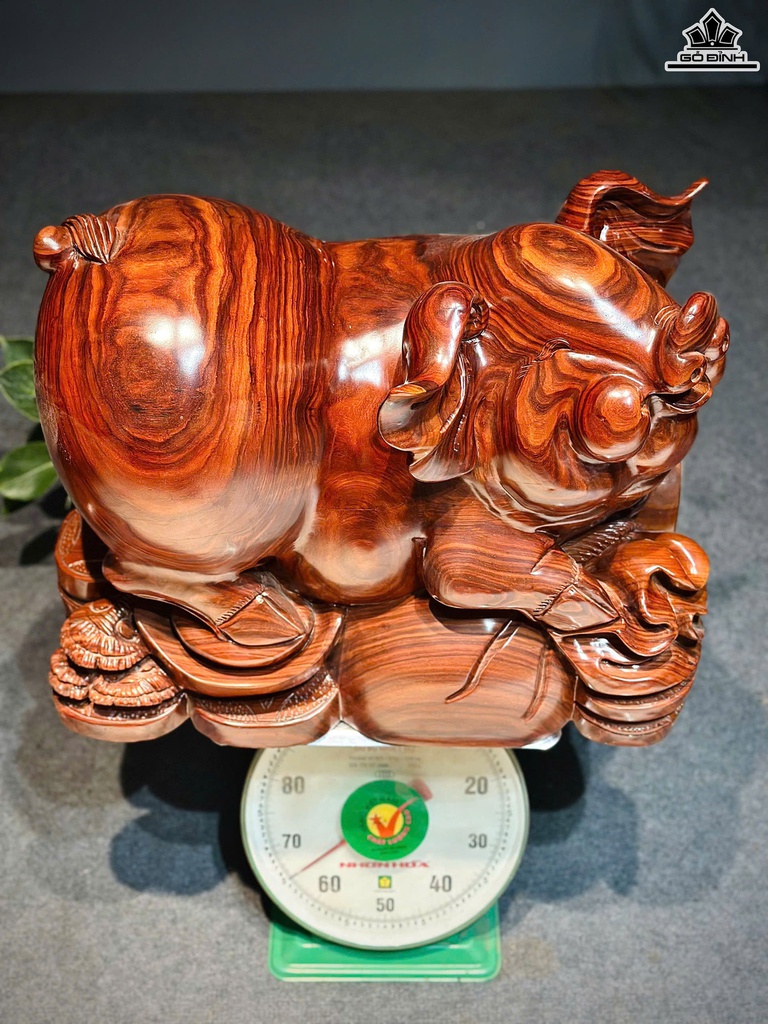 tuong-heo-go-cam-cao-43-ngang-58-sau-35-cm-468654