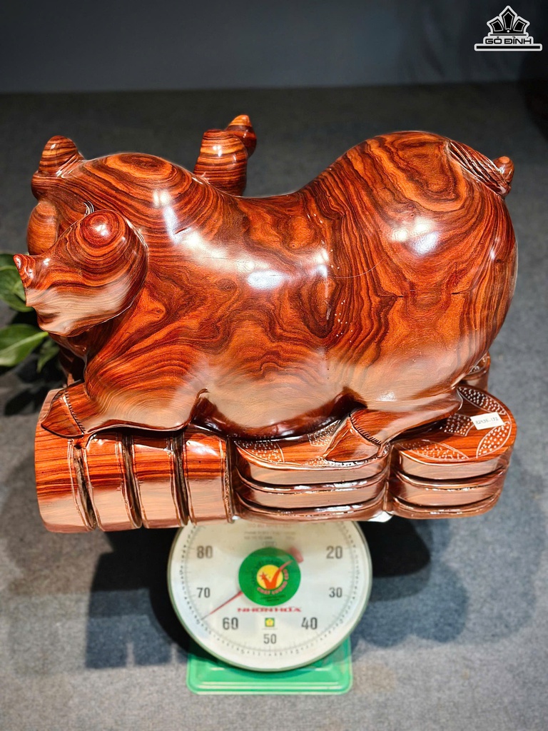 tuong-heo-go-cam-cao-43-ngang-58-sau-35-cm-468655