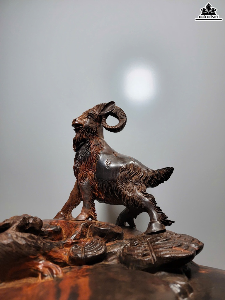 khay-tra-nhat-duong-go-trac-cao-29-ngang-35-sau-30-cm-468882