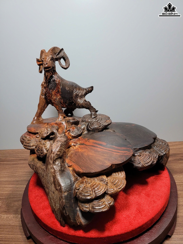 khay-tra-nhat-duong-go-trac-cao-29-ngang-35-sau-30-cm-468883