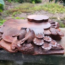 khay-tra-uyen-uong-mai-dieu-go-trac-cao-7-ngang-35-sau-27-cm-468890