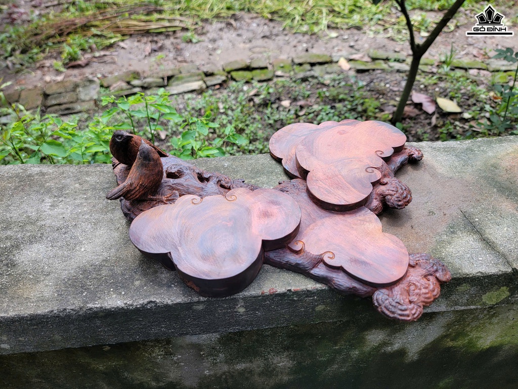 khay-tra-uyen-uong-mai-dieu-go-trac-cao-10-ngang-37-sau-33-cm-468894