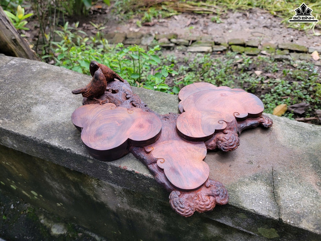 khay-tra-uyen-uong-mai-dieu-go-trac-cao-10-ngang-37-sau-33-cm-468895