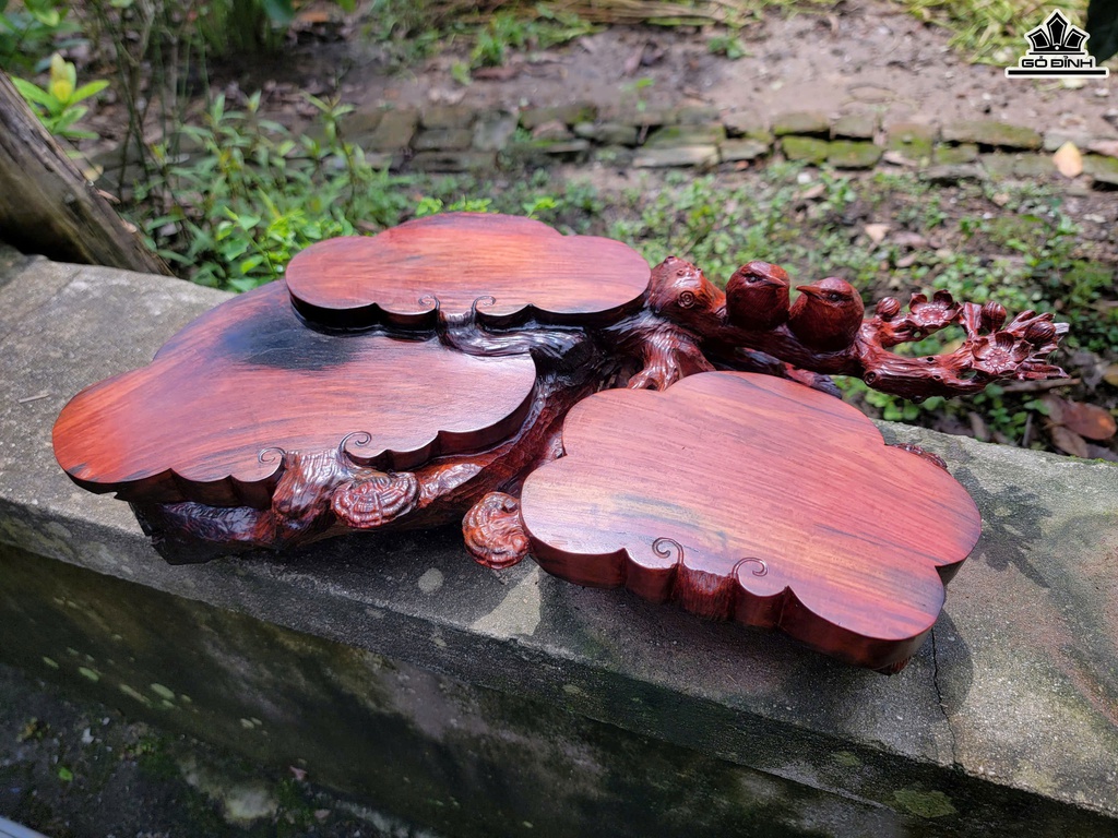 khay-tra-uyen-uong-mai-dieu-go-trac-cao-11-ngang-50-sau-26-cm-468896