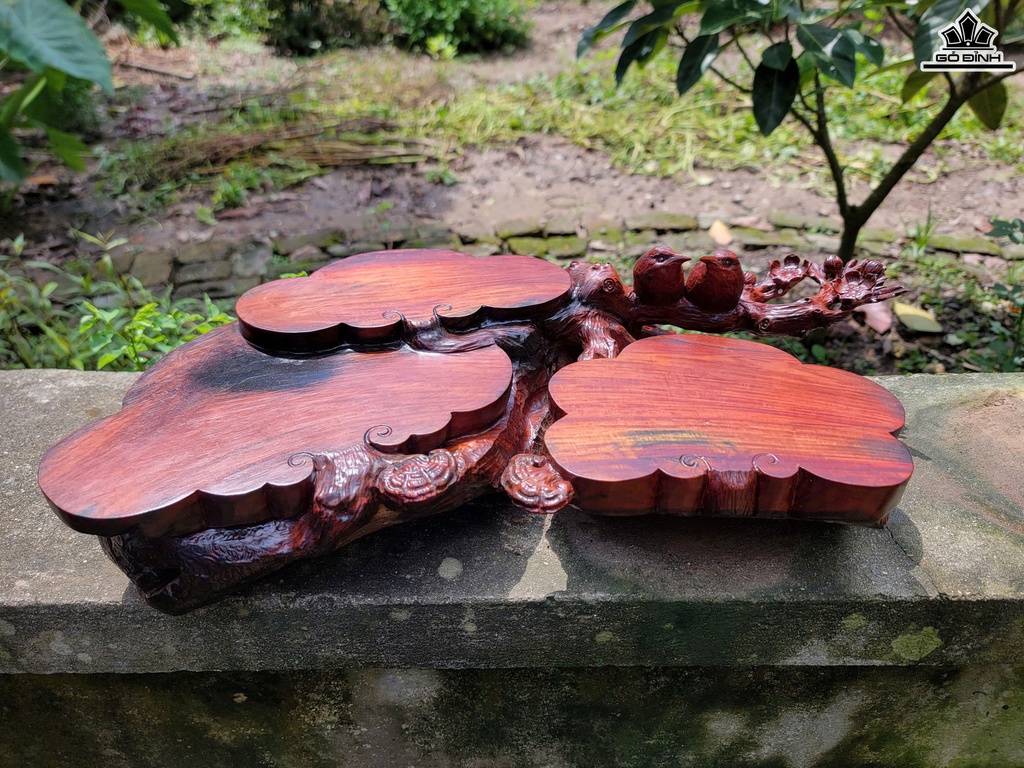 khay-tra-uyen-uong-mai-dieu-go-trac-cao-11-ngang-50-sau-26-cm-468897