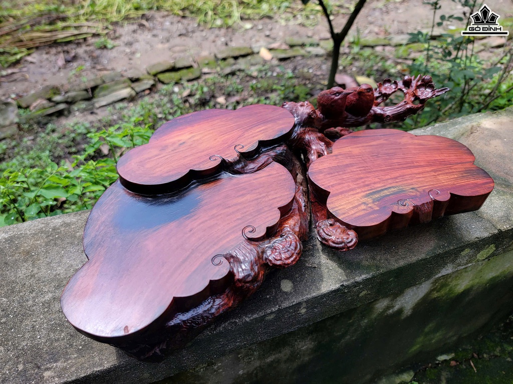 khay-tra-uyen-uong-mai-dieu-go-trac-cao-11-ngang-50-sau-26-cm-468899