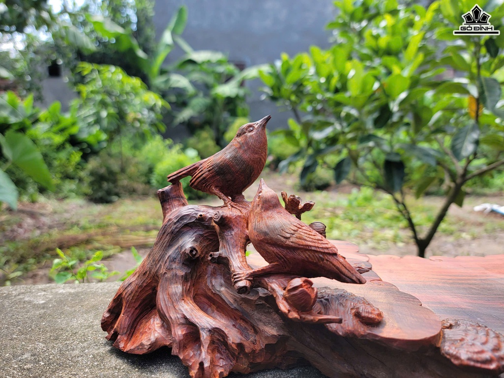 khay-tra-uyen-uong-mai-dieu-go-trac-cao-16-ngang-50-sau-23-cm-468904