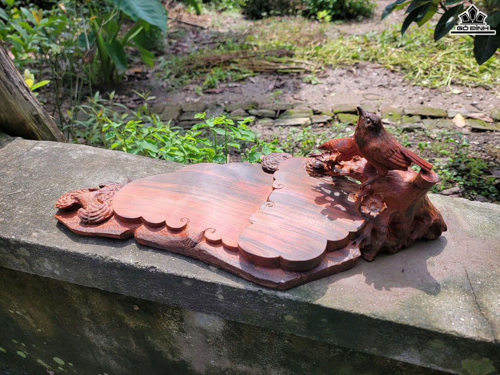 khay-tra-uyen-uong-mai-dieu-go-trac-cao-16-ngang-50-sau-23-cm-468905