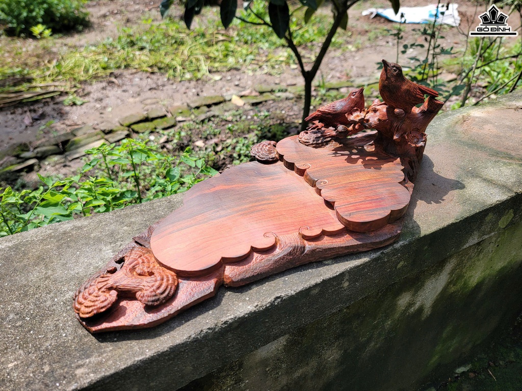 khay-tra-uyen-uong-mai-dieu-go-trac-cao-16-ngang-50-sau-23-cm-468906