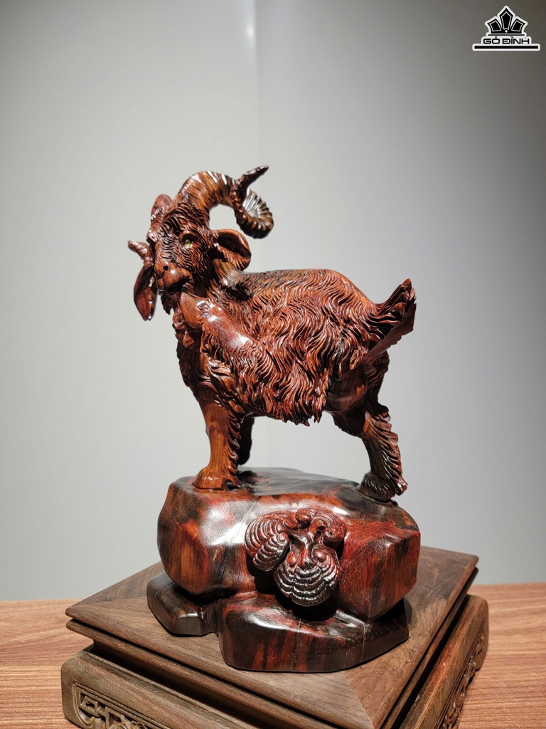 tuong-nhat-duong-khai-thai-go-trac-cao-27-ngang-20-sau-16-cm-468936