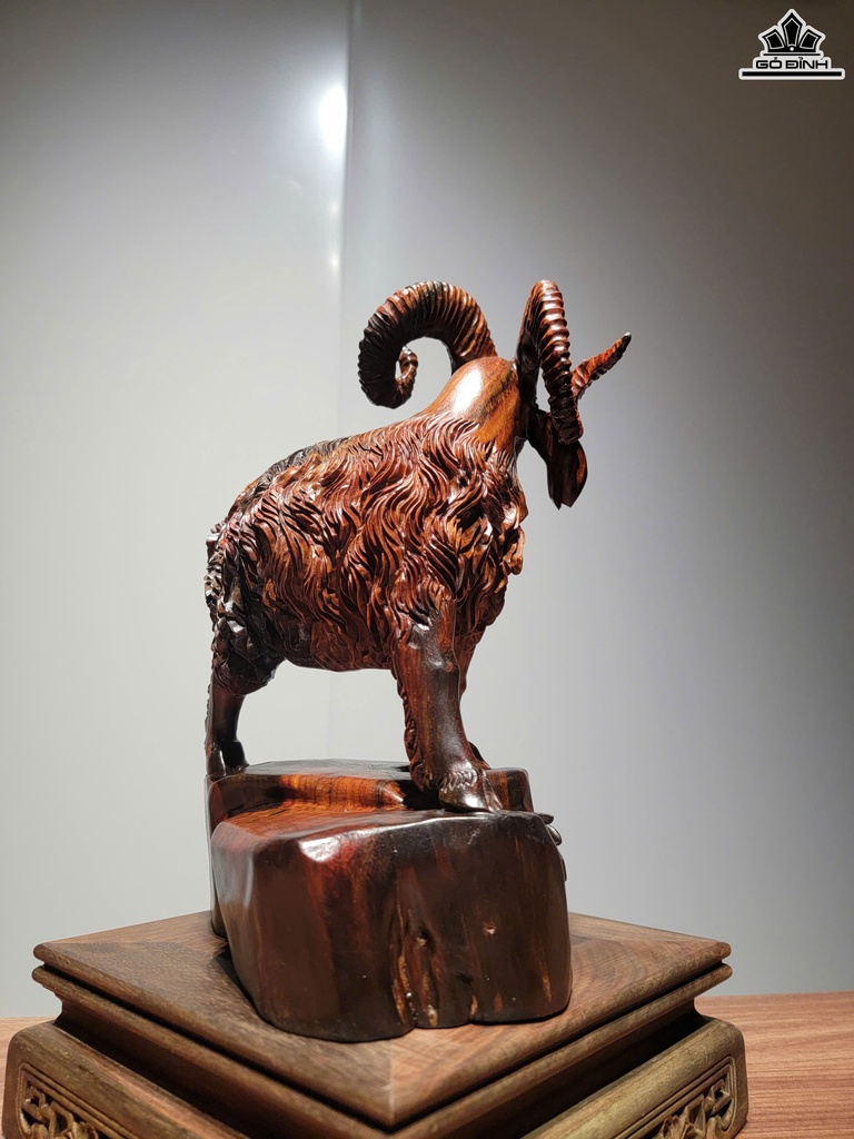 tuong-nhat-duong-khai-thai-go-trac-cao-27-ngang-20-sau-16-cm-468938