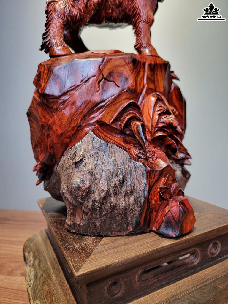 tuong-nhat-duong-khai-thai-go-trac-cao-48-ngang-25-sau-22-cm-468943