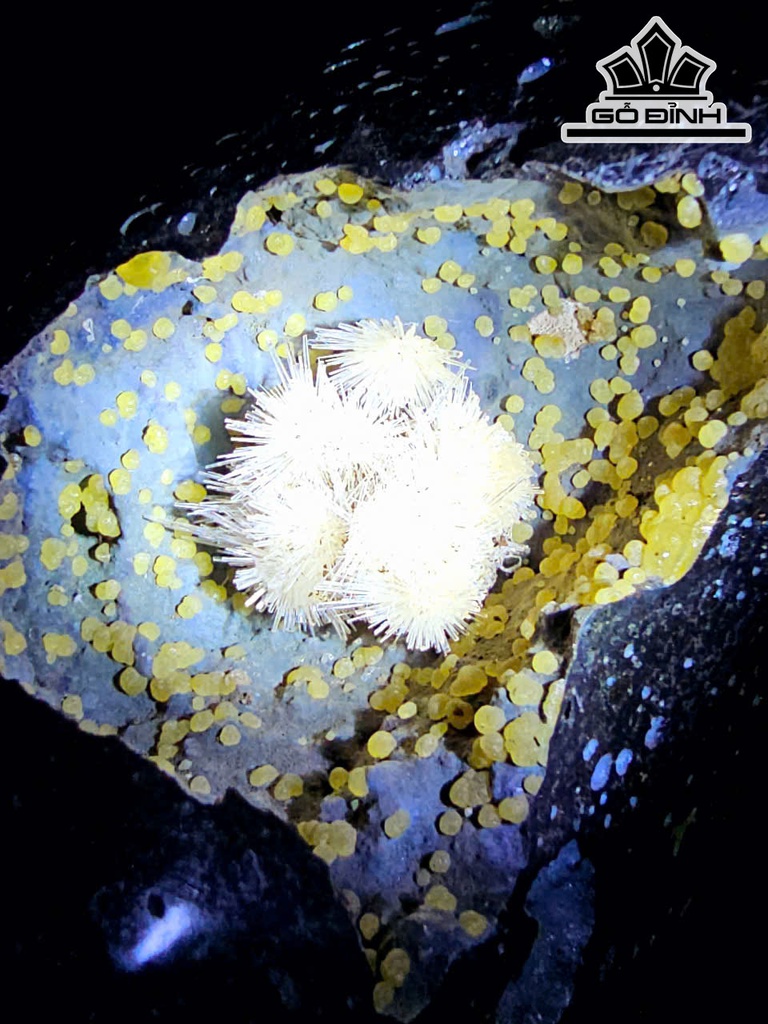 bong-hoa-uu-dam-da-tram-tich-cao-25-ngang-20-cm-47kg-469110