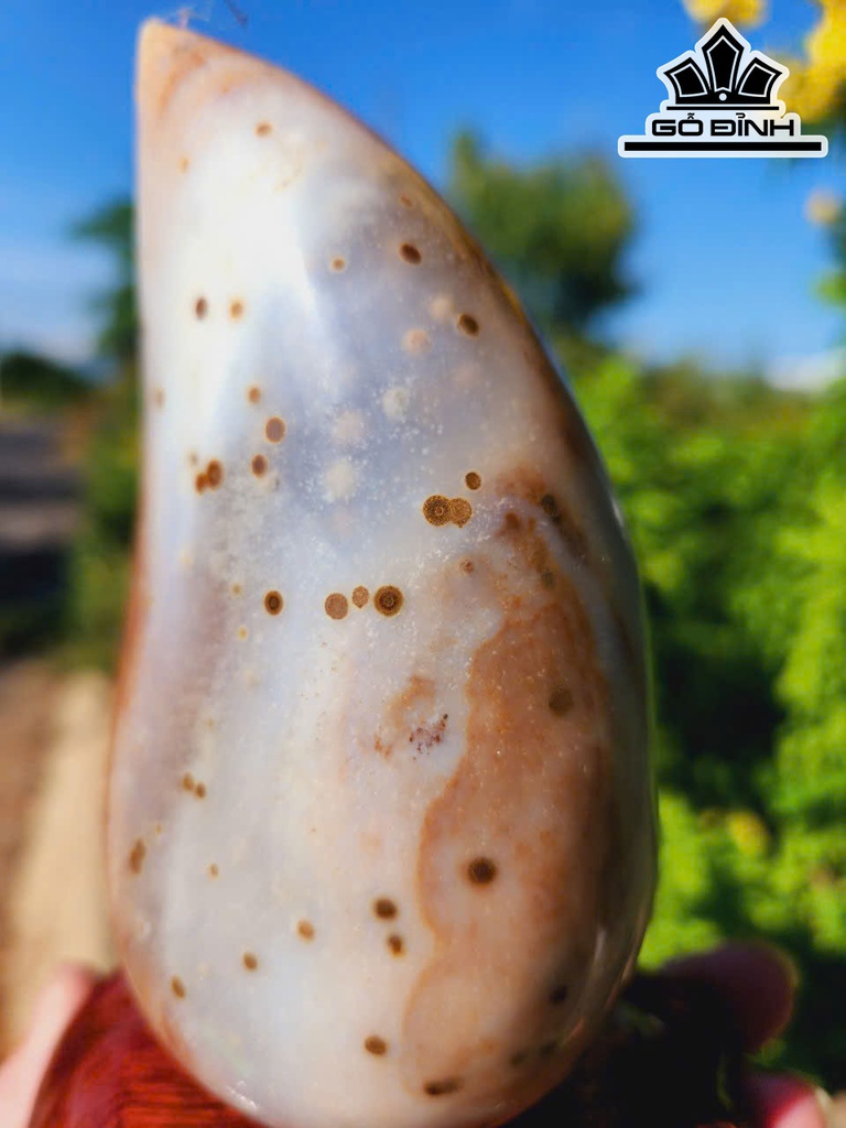 ma-nao-tay-nguyen-cao-20-ngang-9-cm-1kg-469130