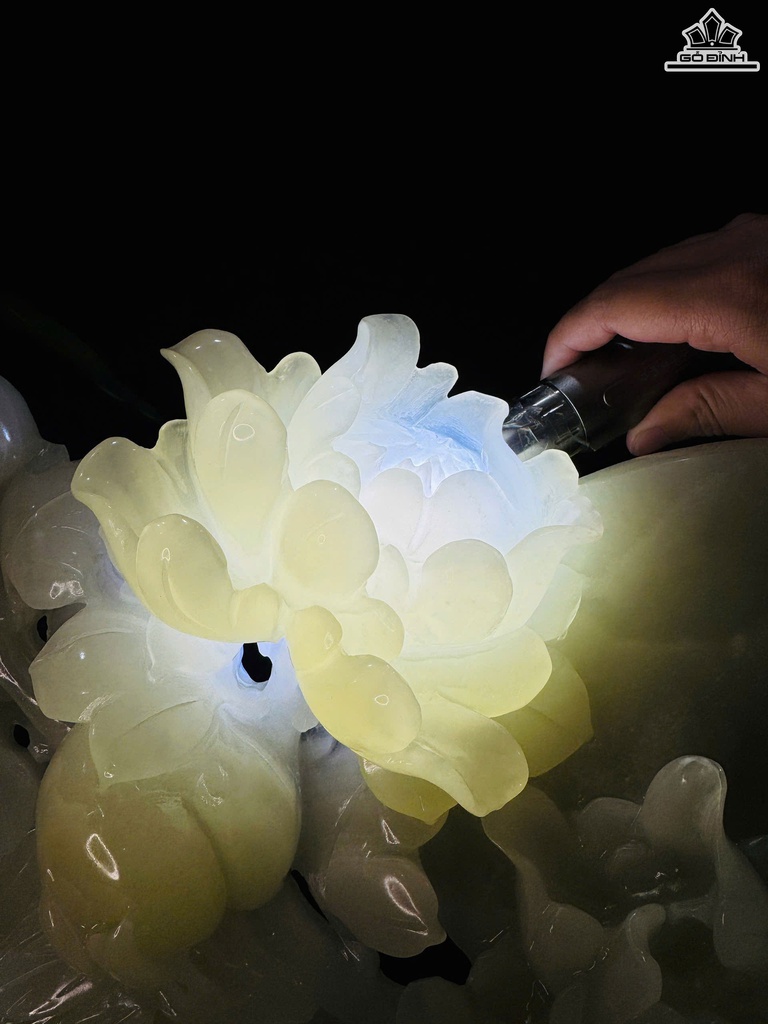 tac-pham-khanh-nhu-y-hoa-mau-don-cao-82-ngang-48-sau-10-cm-469199