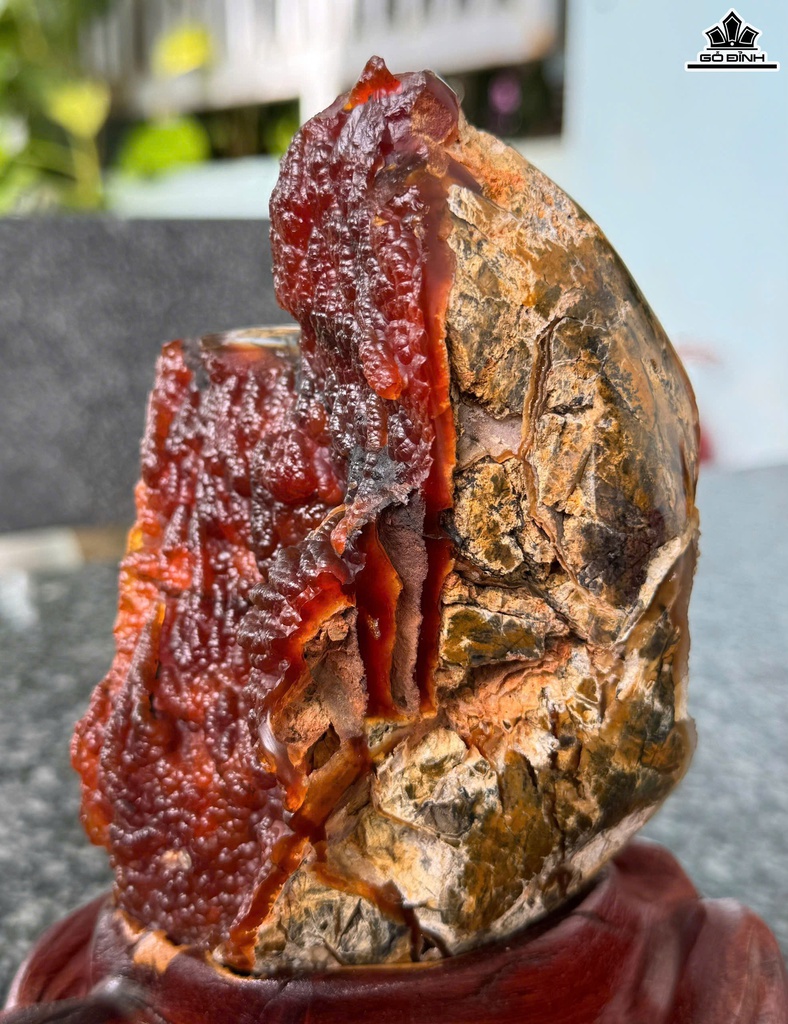 nhu-ma-nao-cao-ca-de-19-ngang-13-cm-12kg-469218