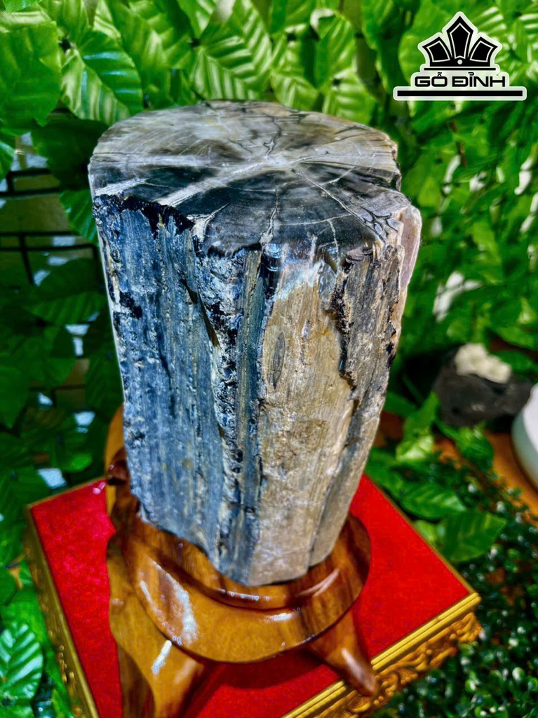 tac-pham-cay-gio-bau-hoa-thach-cao-32-ngang-17-cm-82kg-469299