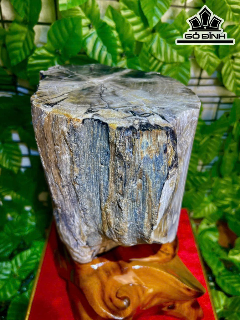 tac-pham-cay-gio-bau-hoa-thach-cao-32-ngang-17-cm-82kg-469300