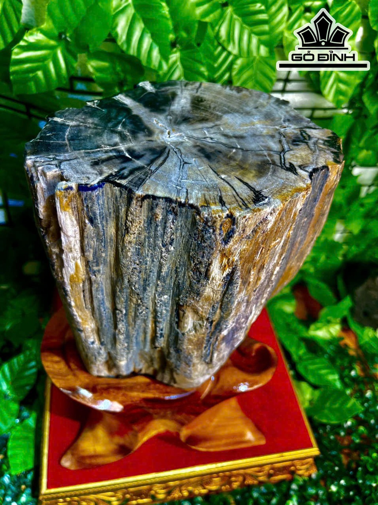 tac-pham-cay-gio-bau-hoa-thach-cao-32-ngang-17-cm-82kg-469301