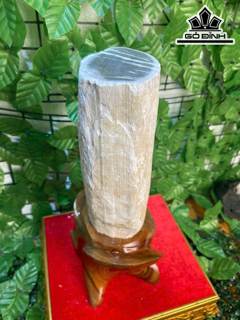 tac-pham-cay-gio-bau-hoa-thach-cao-37-ngang-10-cm-43kg-469303