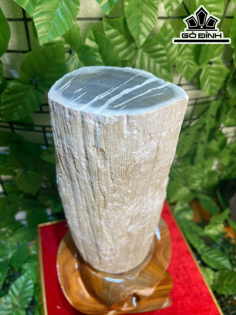 tac-pham-cay-gio-bau-hoa-thach-cao-37-ngang-10-cm-43kg-469304