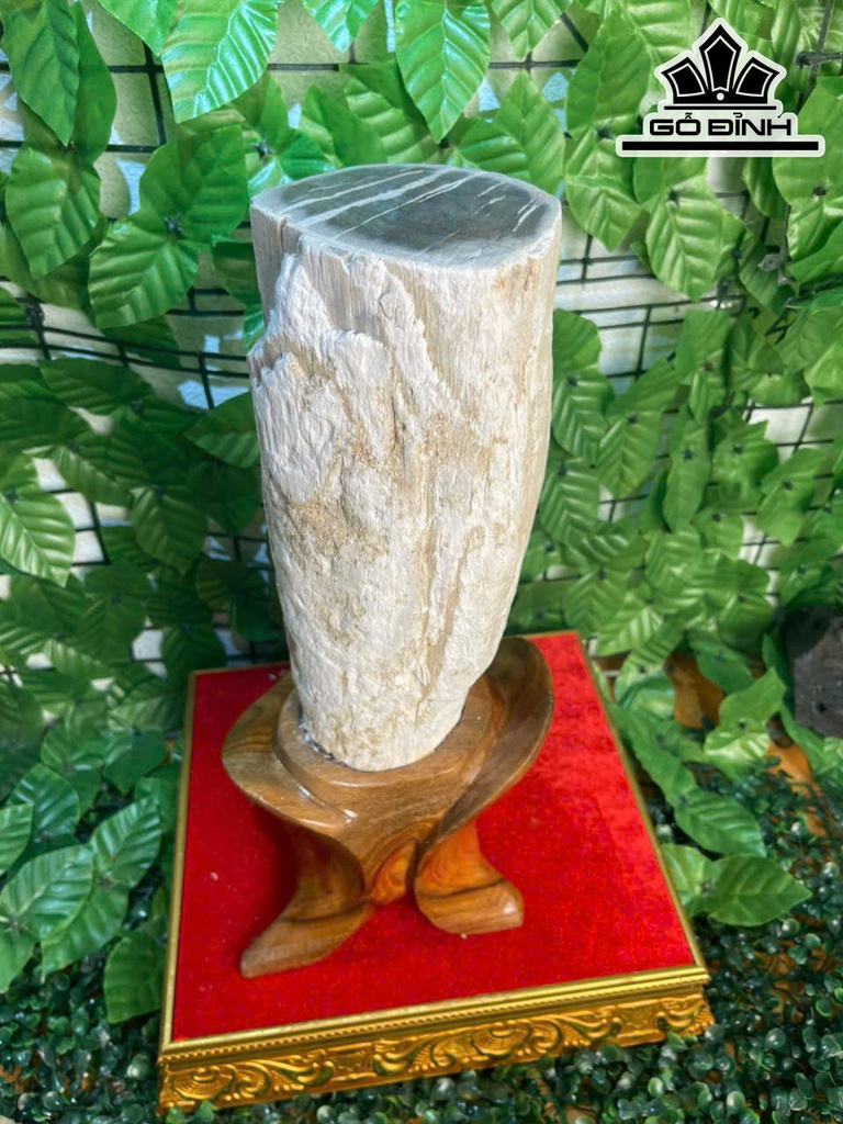 tac-pham-cay-gio-bau-hoa-thach-cao-37-ngang-10-cm-43kg-469305