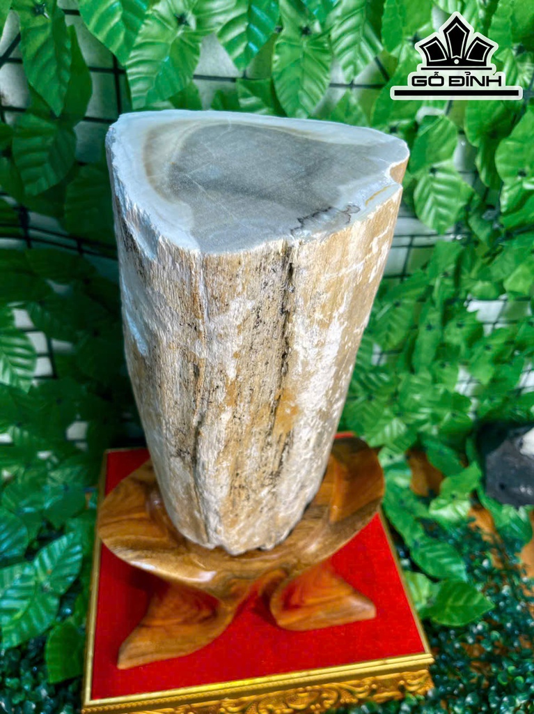 tac-pham-cay-gio-bau-hoa-thach-cao-39-ngang-14-cm-83kg-469307