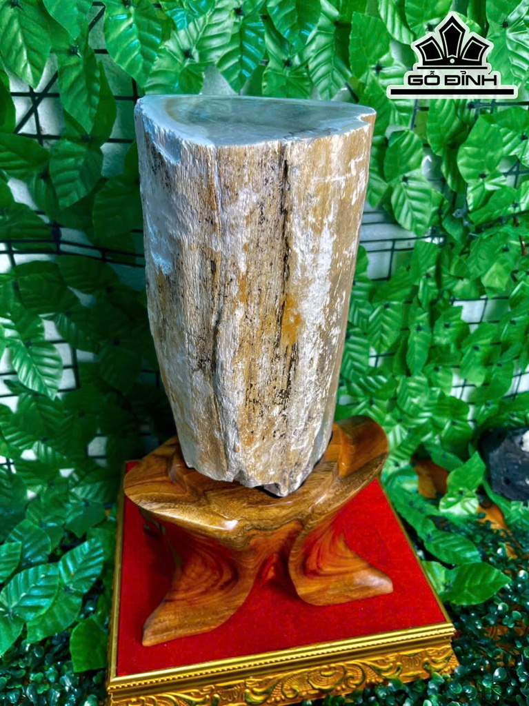 tac-pham-cay-gio-bau-hoa-thach-cao-39-ngang-14-cm-83kg-469309