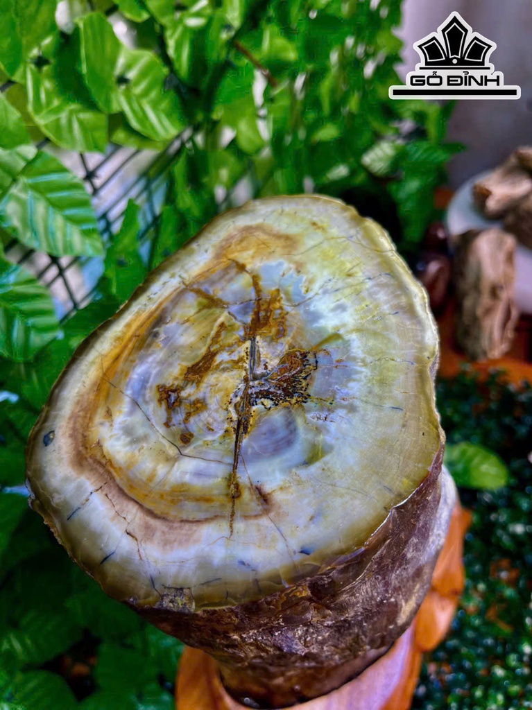 tac-pham-go-hoa-ngoc-cao-40-ngang-14-cm-86kg-469317