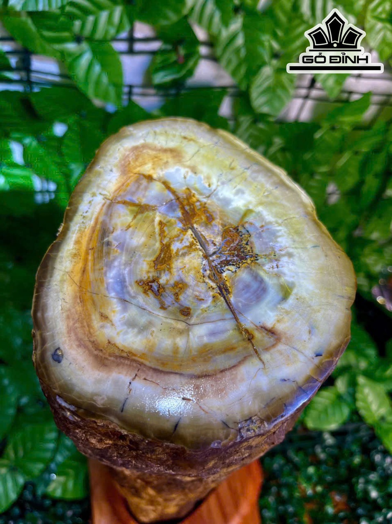 tac-pham-go-hoa-ngoc-cao-40-ngang-14-cm-86kg-469321