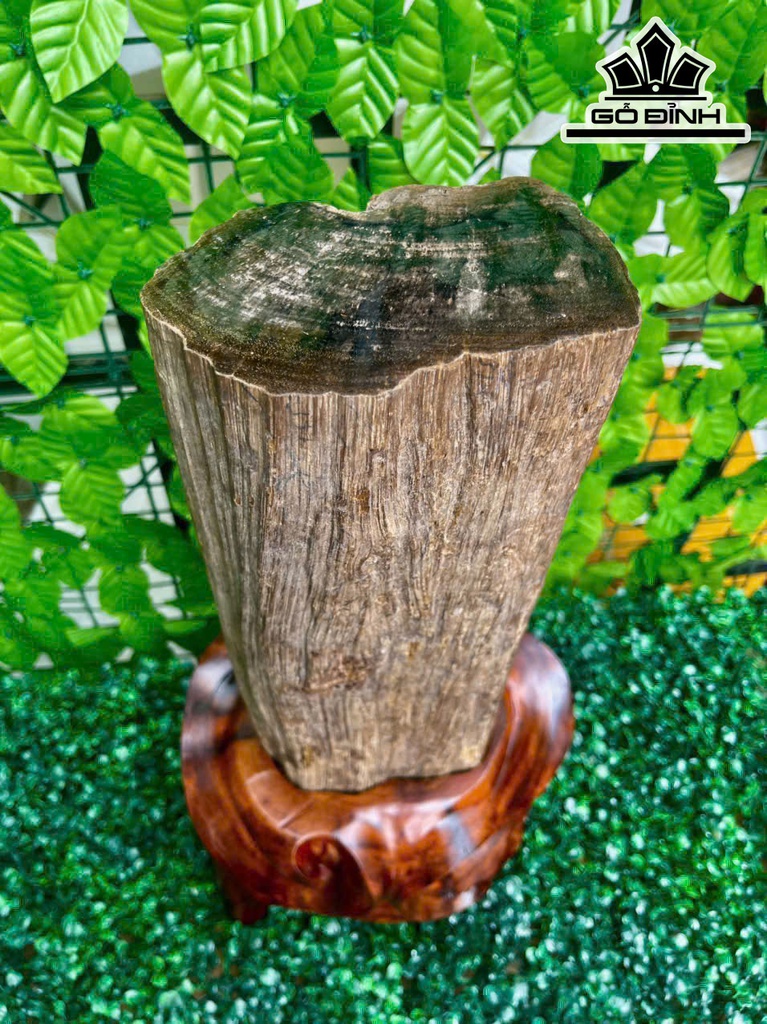 tac-pham-go-hoa-ngoc-cao-55-ngang-15-cm-128kg-469338