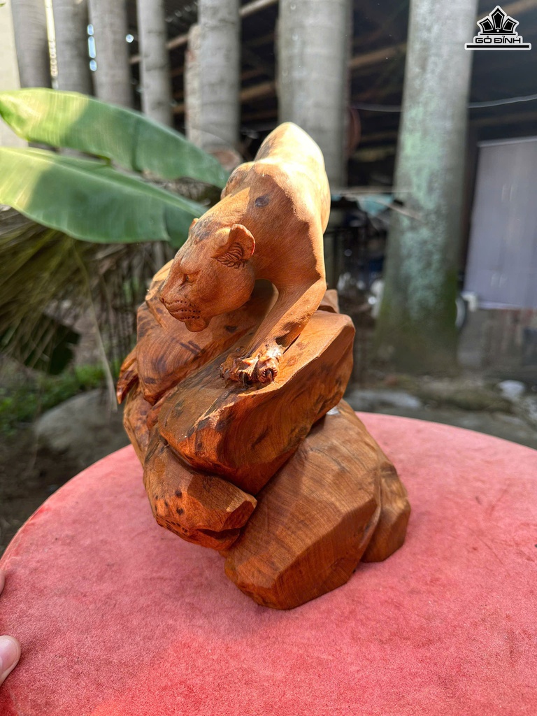 tuong-bao-san-moi-go-nu-ngoc-am-cao-28-ngang-24-sau-20-cm-469478