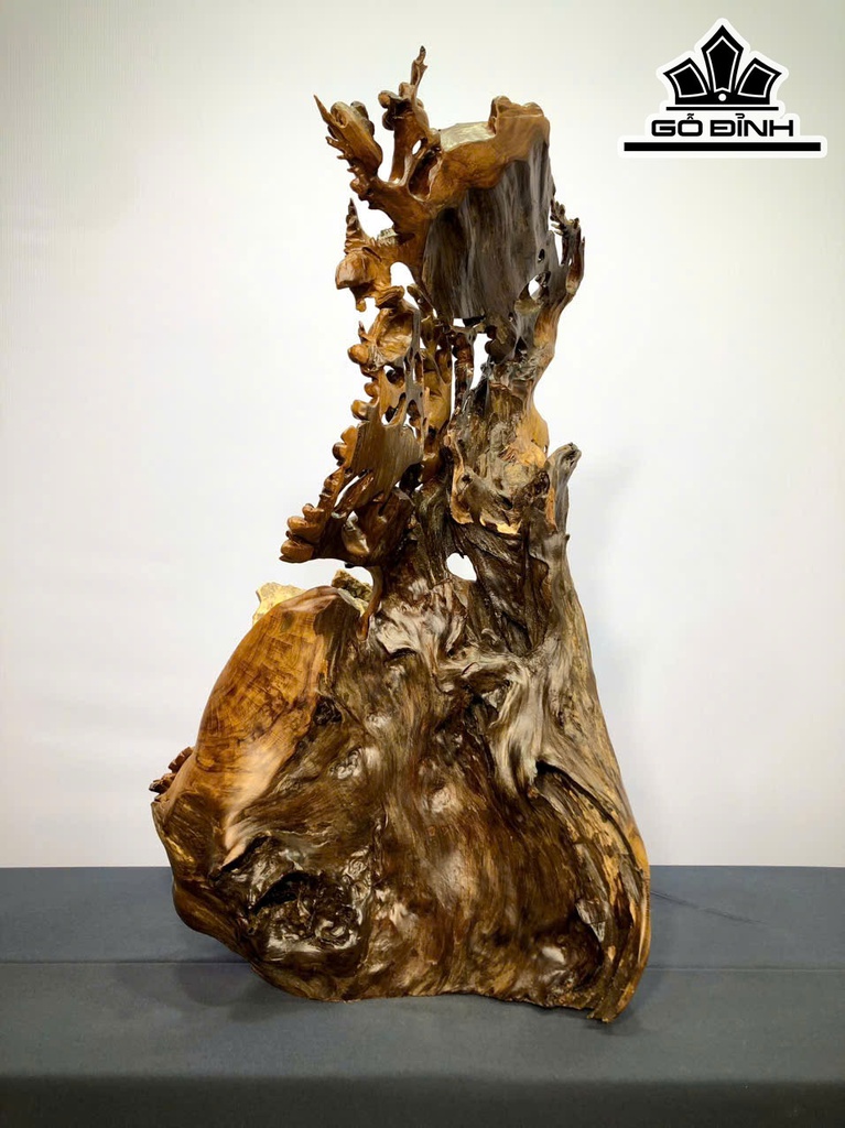 cay-mai-om-da-go-bach-xanh-cao-62-ngang-31-sau-19-cm-469509