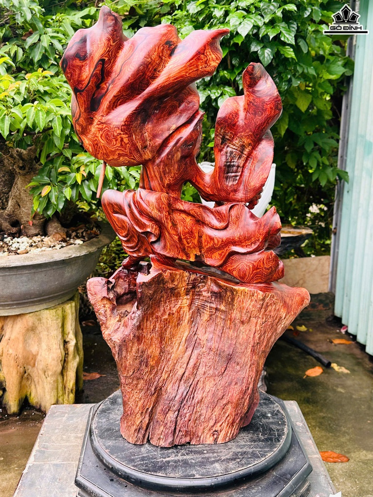 tuong-dat-ma-mua-quyen-go-chun-sun-cam-cao-73-ngang-42-sau-23-cm-469889