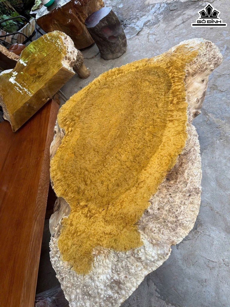 ban-go-nu-khao-gai-vien-dai-124-rong-90-day-9-12-cm-470453