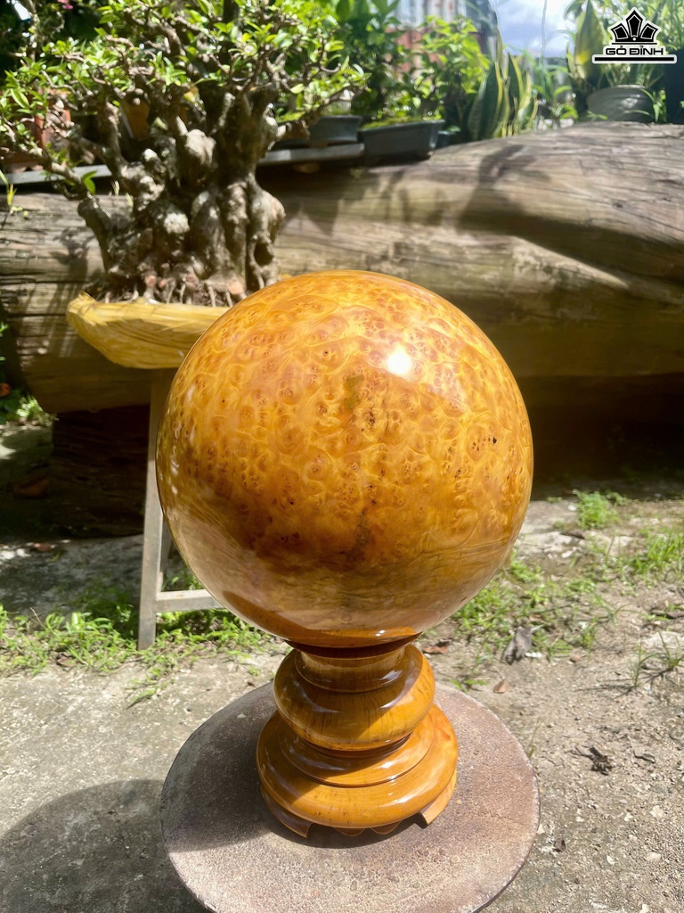 bi-cau-go-nu-khao-cao-40-duong-kinh-26-cm-470458