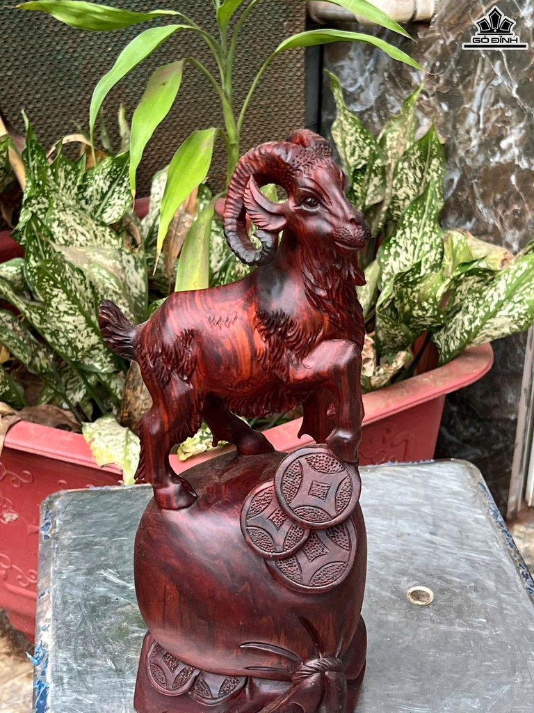 tuong-nhat-duong-go-trac-cao-35-ngang-15-sau-11-cm-470813