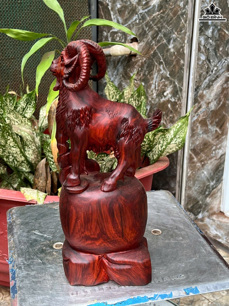 tuong-nhat-duong-go-trac-cao-35-ngang-15-sau-11-cm-470814